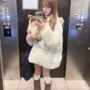 ヒメ日記 2026/02/04 02:56 投稿 あん E+アイドルスクール