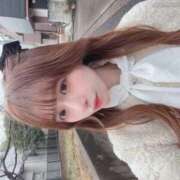 ヒメ日記 2026/02/11 13:46 投稿 あん E+アイドルスクール