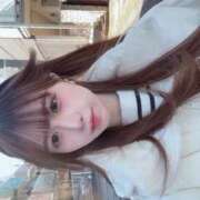 ヒメ日記 2026/02/19 11:36 投稿 あん E+アイドルスクール