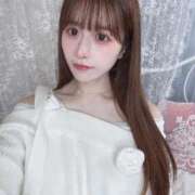 ヒメ日記 2026/03/22 03:06 投稿 あん E+アイドルスクール