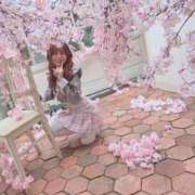 ヒメ日記 2026/04/06 21:10 投稿 あん E+アイドルスクール