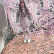 ヒメ日記 2026/04/21 14:37 投稿 あん E+アイドルスクール