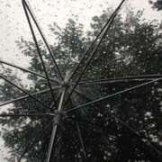 ヒメ日記 2025/05/17 09:06 投稿 ゆあ ぽちゃらん神栖店