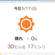 ヒメ日記 2026/05/17 07:42 投稿 ねね お姉京都