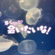 ヒメ日記 2025/03/31 18:25 投稿 めい 虹色メロンパイ 横浜店