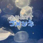 ヒメ日記 2025/04/11 20:52 投稿 めい 虹色メロンパイ 横浜店