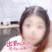 ヒメ日記 2025/04/23 12:08 投稿 めい 虹色メロンパイ 横浜店