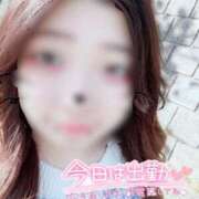 ヒメ日記 2025/05/04 16:18 投稿 めい 虹色メロンパイ 横浜店