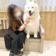 ヒメ日記 2025/06/15 22:12 投稿 めい 虹色メロンパイ 横浜店