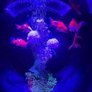 ヒメ日記 2025/06/18 14:01 投稿 めい 虹色メロンパイ 横浜店