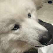 ヒメ日記 2025/06/30 12:43 投稿 めい 虹色メロンパイ 横浜店