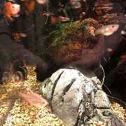 ヒメ日記 2025/07/03 22:45 投稿 めい 虹色メロンパイ 横浜店