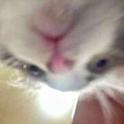 ヒメ日記 2025/07/06 17:03 投稿 めい 虹色メロンパイ 横浜店