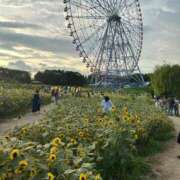 ヒメ日記 2025/07/08 12:33 投稿 めい 虹色メロンパイ 横浜店