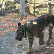 ヒメ日記 2025/07/09 12:47 投稿 めい 虹色メロンパイ 横浜店