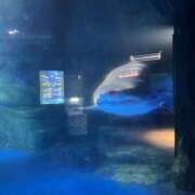 ヒメ日記 2025/07/11 20:37 投稿 めい 虹色メロンパイ 横浜店