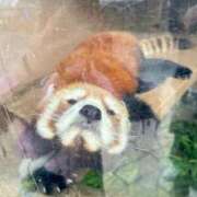 ヒメ日記 2025/07/18 21:34 投稿 めい 虹色メロンパイ 横浜店