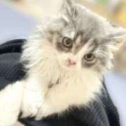 ヒメ日記 2025/07/30 16:56 投稿 めい 虹色メロンパイ 横浜店