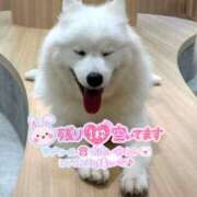 ヒメ日記 2025/08/22 17:04 投稿 めい 虹色メロンパイ 横浜店