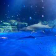 ヒメ日記 2025/08/23 23:56 投稿 めい 虹色メロンパイ 横浜店