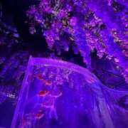 ヒメ日記 2025/08/30 11:25 投稿 めい 虹色メロンパイ 横浜店