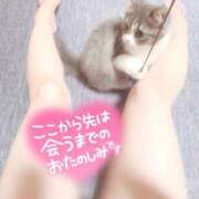 ヒメ日記 2025/08/31 11:27 投稿 めい 虹色メロンパイ 横浜店