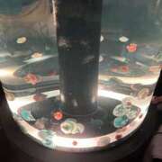 ヒメ日記 2025/09/15 18:01 投稿 めい 虹色メロンパイ 横浜店