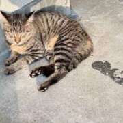 ヒメ日記 2025/10/02 08:12 投稿 めい 虹色メロンパイ 横浜店