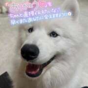 ヒメ日記 2025/10/06 19:33 投稿 めい 虹色メロンパイ 横浜店