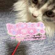 ヒメ日記 2025/10/13 17:07 投稿 めい 虹色メロンパイ 横浜店