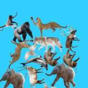 ヒメ日記 2025/10/30 07:25 投稿 めい 虹色メロンパイ 横浜店