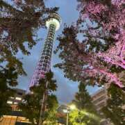 ヒメ日記 2025/11/13 08:59 投稿 めい 虹色メロンパイ 横浜店