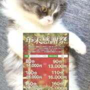 ヒメ日記 2025/11/16 15:51 投稿 めい 虹色メロンパイ 横浜店