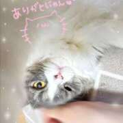 ヒメ日記 2026/03/21 01:05 投稿 めい 虹色メロンパイ 横浜店