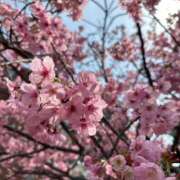 ヒメ日記 2026/03/23 00:20 投稿 めい 虹色メロンパイ 横浜店