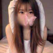 ヒメ日記 2025/04/29 21:01 投稿 はつこい The White