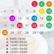 ヒメ日記 2025/05/01 06:00 投稿 はつこい The White