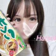 ヒメ日記 2025/07/04 06:00 投稿 はつこい The White