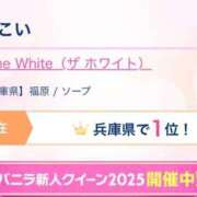 ヒメ日記 2025/07/21 06:00 投稿 はつこい The White