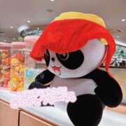 ヒメ日記 2025/08/02 13:01 投稿 はつこい The White