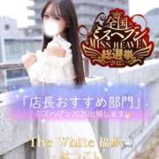 ヒメ日記 2025/08/26 08:55 投稿 はつこい The White