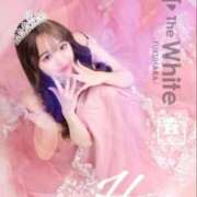 ヒメ日記 2025/10/01 11:18 投稿 はつこい The White