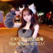 ヒメ日記 2025/10/08 17:18 投稿 はつこい The White