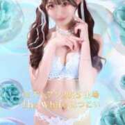 ヒメ日記 2025/10/15 12:04 投稿 はつこい The White