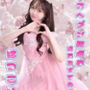 ヒメ日記 2025/10/15 17:15 投稿 はつこい The White