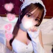 ヒメ日記 2025/10/17 05:04 投稿 はつこい The White