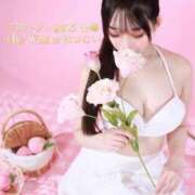 ヒメ日記 2025/10/29 20:00 投稿 はつこい The White