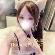 ヒメ日記 2025/10/30 08:00 投稿 はつこい The White