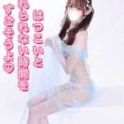 ヒメ日記 2025/10/31 08:00 投稿 はつこい The White