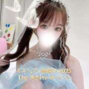 ヒメ日記 2025/11/01 06:00 投稿 はつこい The White